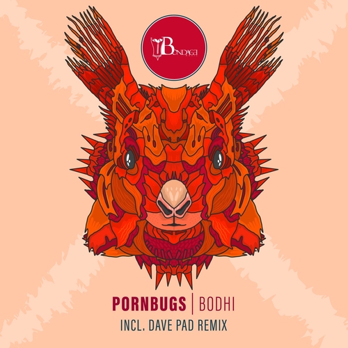 Pornbugs - Bodhi [BONDDIGI060]
